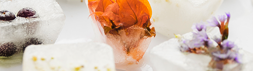 Gros plan sur des glaçons floraux et végétaux – finesse des boissons gastronomiques sans alcool