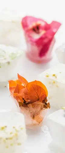 Gros plan sur des glaçons floraux et végétaux – finesse des boissons gastronomiques sans alcool