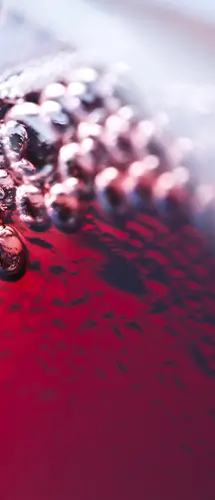 Gros plan sur un verre de vin rouge sans alcool légèrement pétillant – élégance et intensité aromatique