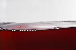 Gros plan sur un verre de vin rouge désalcoolisé – robe profonde et reflets grenat
