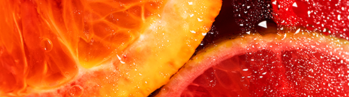 Gros plan sur des tranches d’agrumes dans une boisson pétillante sans alcool – une alternative saine et savoureuse